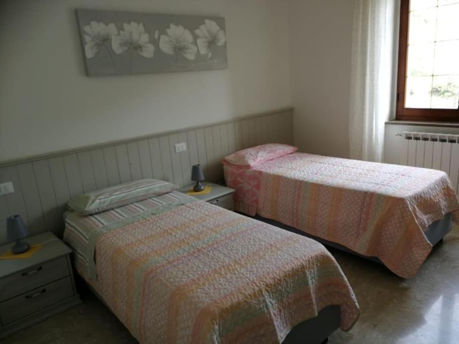 I Chechin - Homy 5 Terre Apartment Volastra Exterior photo